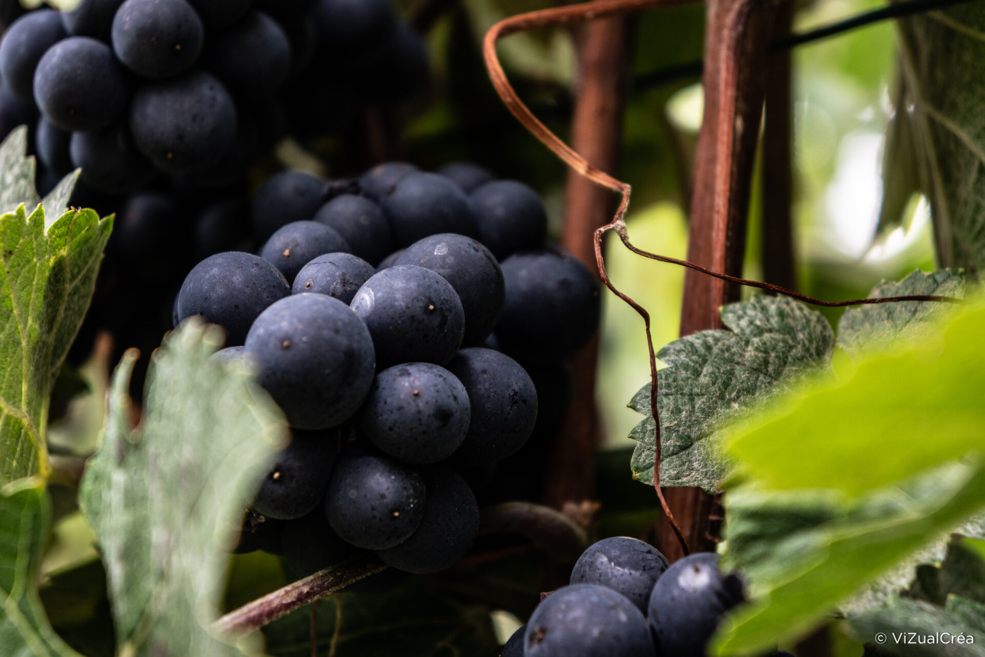 Réalisation Photographie