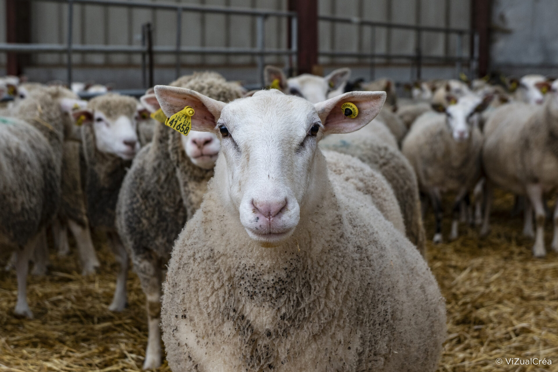 Réalisation Photographie